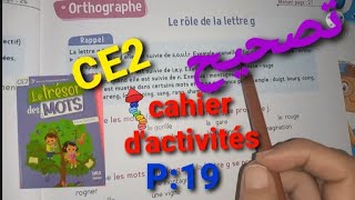 CE2 Cahier dactivités le trésor des mots page  19 [upl. by Lenssen456]