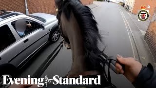 Mounted police chase down and fine driver for using phone [upl. by Nylrem]