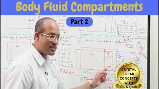 Body Fluid Compartments  IV Fluids  Types amp Uses Part 2 [upl. by Ball]