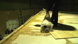 how to Fibreglass a roof [upl. by Llered398]