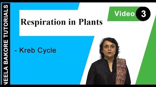 Respiration in Plants  NEET  Kreb Cycle  Neela Bakore Tutorials [upl. by Gonta794]