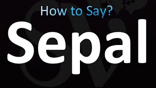 How to Pronounce Sepal correctly [upl. by Crow]