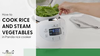 How To Cook Rice And Steam Vegetables At The Same Time In The Yum Asia Panda Mini Rice Cooker [upl. by Memberg]