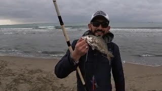 MORMORE si torna a surfcasting [upl. by Eciral]