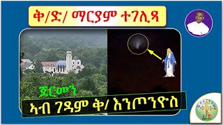 ቅድ ማርያም ን4 ሰዓታት ኣብ ናይ ግብጺ ገዳም ተገሊጻ ጀርመን ፣፣ ሓምለ 2023 ብሰወ ካሳሁን እምባየ [upl. by Elisa]