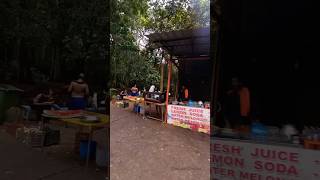 PambaSabarimala AyyappaSnacks Stalls ayyappa travel sabarimala bhakti shorts thelastcholas [upl. by Oiretule]