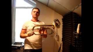 Flugelhorn Yamaha YFH231 Japan [upl. by Hahn467]