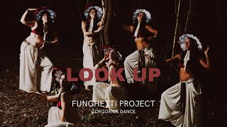 LOOK UP  Funghetti Project  Gorgonia Dance [upl. by Eillac]