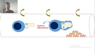 5Lipopolysaccharide LPS [upl. by Yehc]