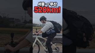 총 거리 520km 서울에서 부산까지 무전취식 자전거 국토종주 마지막화 [upl. by Pleione]