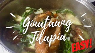 How to Cook Ginataang Tilapia Picadillo  Bicolano Dish Easy Recipe [upl. by Gonroff37]