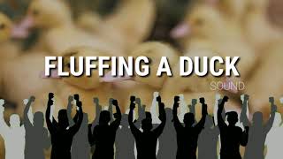 quotFluffing a duckquot  no copyright [upl. by Melisa]