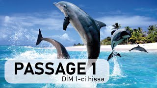 Delfinlər Dolphins Passage 1 DİM 1ci hissə və DİM 2ci hissə test toplusu [upl. by Ycniuqal]