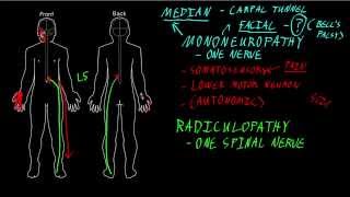 Mononeuropathy and radiculopathy [upl. by Renata308]