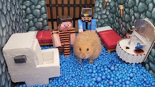 Hamster Escapes from the Minecraft Prison Maze [upl. by Tham]