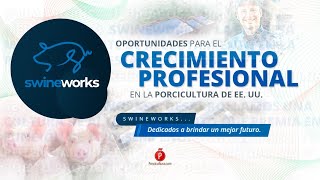 La porcicultura estadounidense está demandando profesionales Swineworks abre el camino [upl. by Harelda]