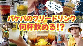 【バケパディズニー 】フリードリンク2日間で何杯飲める総額1万円超ファンタジースプリングス限定ドリンクも！バケーションパッケージ TDL TDS rurumimitravelers [upl. by Fawna]