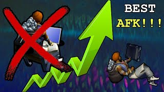 Top 5 BEST Rewarding AFK Activites for RS3 Ironman in 2024 [upl. by Amikay]