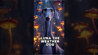 🐶Cute dog saves town from hurricane dog adorable love fyp ai viral cute animated pixar [upl. by Nylasej]