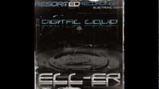 EllEr  Digital Liquid Paul Blauth Remix [upl. by Ecirtnahs]