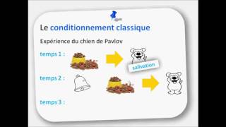 Cours de Psychologie Le Béhaviorisme 1 3 [upl. by Ayenat]