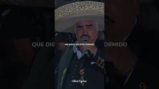 México Lindo y Querido  Vicente Fernández Letra 🇲🇽❤️‍🔥 [upl. by Alithea]