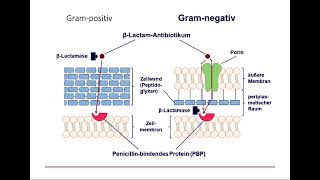 2b Antibiotika Substanzen [upl. by Robertson194]