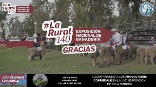 Remate de Ovinos Transmisión en vivo de Sociedad Rural Bahía Blanca 2023 [upl. by Ainosal]