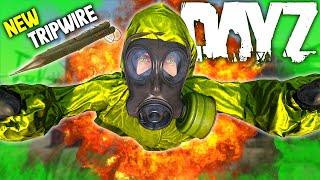 EXPLODING PLAYERS with the NEW 114 TRIPWIRE DayZ [upl. by Shishko87]