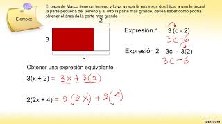 expresiones algebraicas equivalentes en el empleo de modelos geometricos [upl. by Telocin]