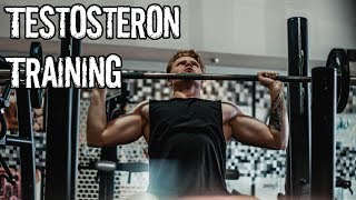 40 mehr Testosteron in 4 Wochen Das Testosteron Training [upl. by Airdnahc379]