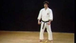 Shotokan Kata Jiin  Kanazawa Hirokazu [upl. by Ditmore]