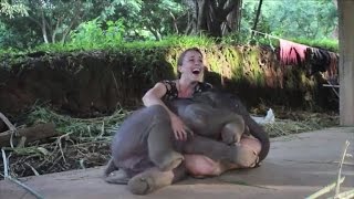 Baby Elephant Surprises Caretaker with a Hug [upl. by Hueston]