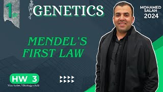 Homework 3  Mendels first law  El Moaaser  Genetics [upl. by Gresham]