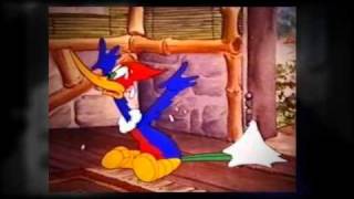 Woody Woodpecker Puts A Spring In Springfield Feat Wakko W [upl. by Nawtna99]