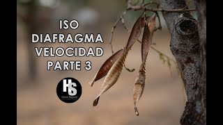 ISO DIAFRAGMA Y VELOCIDAD EN LA FOTOGRAFÍA PARTE 3 [upl. by Ylelhsa]