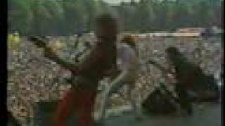 Y amp T  PINKPOP HOLLAND 1982 [upl. by Haliak]