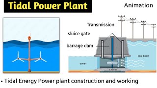 tidal energy  tidal power plant in hindi  animation  working  barrage type  double basin type [upl. by Johansen]