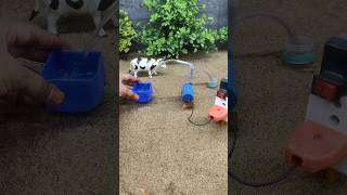 Mini motor water pump project mini hand pump project cow bathed video  150 [upl. by Fennell615]