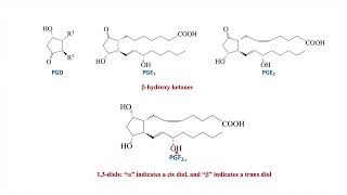 Prostaglandin biosynthesis of prostaglandins Lipid part 2 [upl. by Inami]