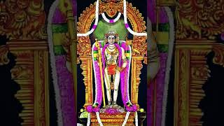 Palani Murugan palani murugalove skandasashti skandashashti [upl. by Hereld]