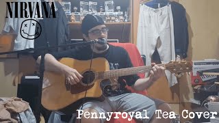 Nirvana  Pennyroyal Tea  Acoustic Cover [upl. by Laith371]