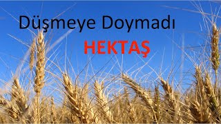 Hektaş Hisse HEKTS Düşmeye Doymadı Hekts Hisse Yorum Analiz 2024 Değerlendirme AKD Ne Durumda [upl. by Ettevram]