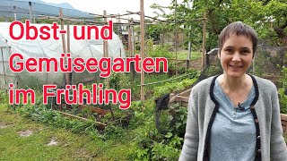 Gartenrundgang Anfang Mai Was wächst was blüht Chaos und erste Ernte [upl. by Ashelman486]