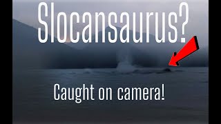 Lake Monster  Slocansaurus caught on camera real [upl. by Llesirg]