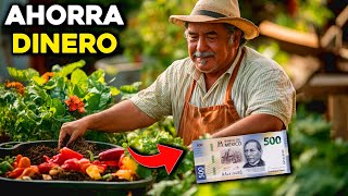 Cómo Hacer Fertilizantes Naturales con Desperdicios de Cocina y Ahorrar Dinero [upl. by Temple]