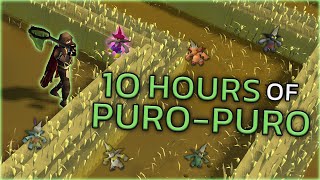 Loot From 10 Hours Of PuroPuro [upl. by Lusty]