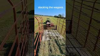 Baling 2nd cut alfalfa 2024 hayseason farming farm [upl. by Eentrok988]