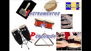 LOS INSTRUMENTOS DE PERCUSIÓN [upl. by Chuch]