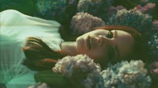 Lana Del Rey  Violet For Roses Ultraviolence Version [upl. by Wernher]